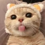 Roxana Ruelas avatar