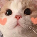 Daniela Solís avatar